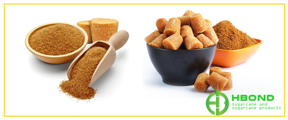 hbond-sugarcane-and-sugarcane-products-01