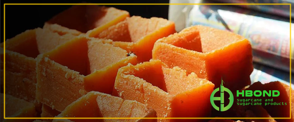 hbond-sugarcane-and-sugarcane-products-02