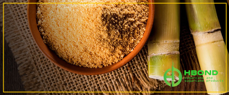 hbond-sugarcane-and-sugarcane-products-04