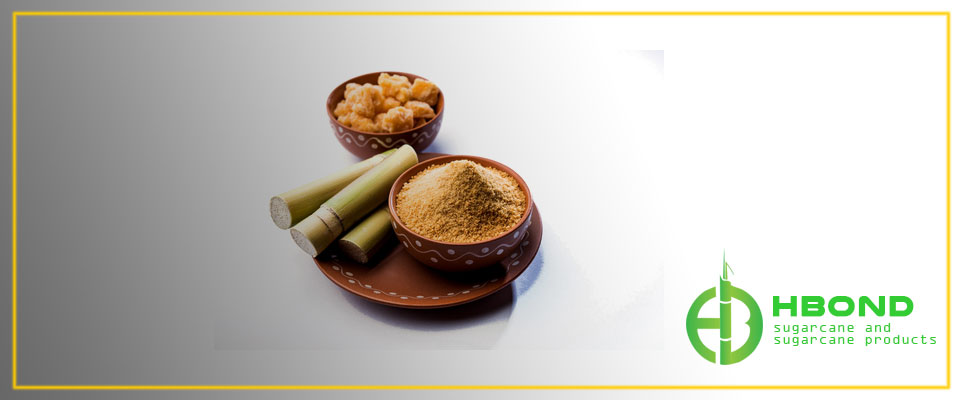 hbond-sugarcane-and-sugarcane-products-05